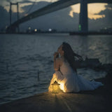 Often Accessories Often 3*AAA Portable Retro LED Lamp  (Small Size)